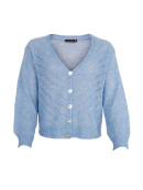 Black Colour - BCDELL KNIT CARDIGAN