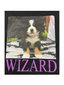 FREDDI  WIZARD - WIZARD TOTEBAG